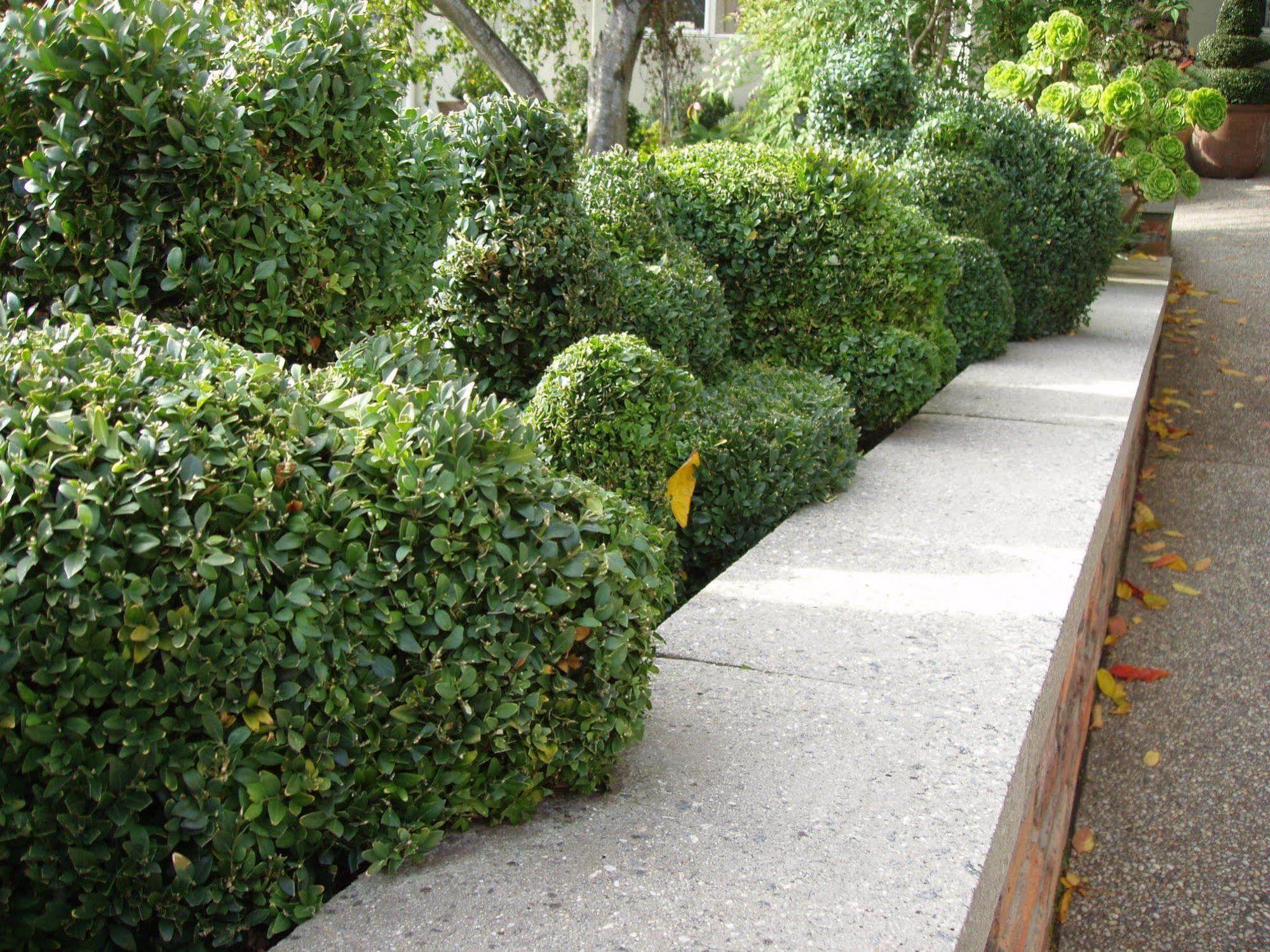 Topiary Haven Launceston Exterior foto