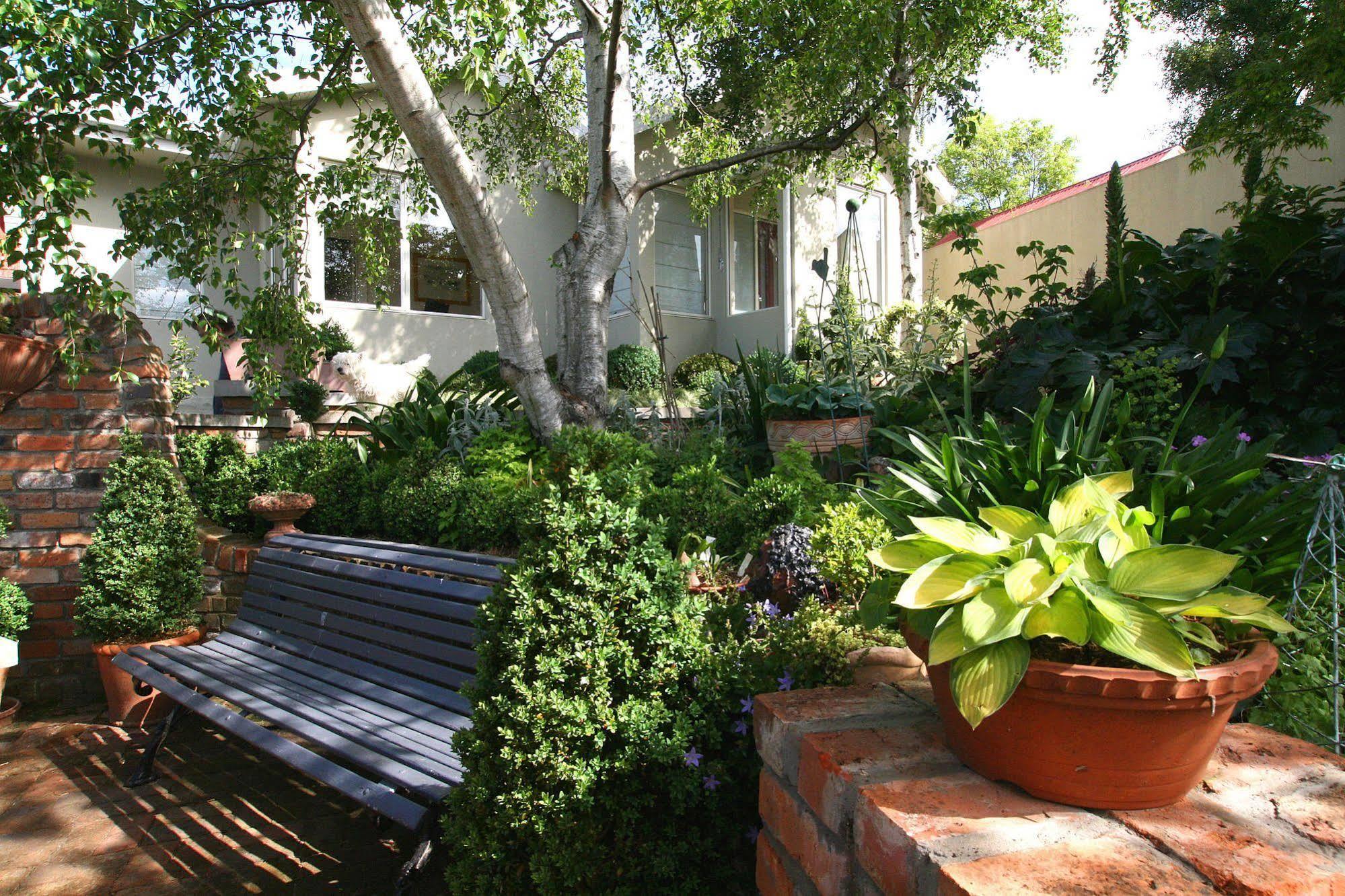 Topiary Haven Launceston Exterior foto